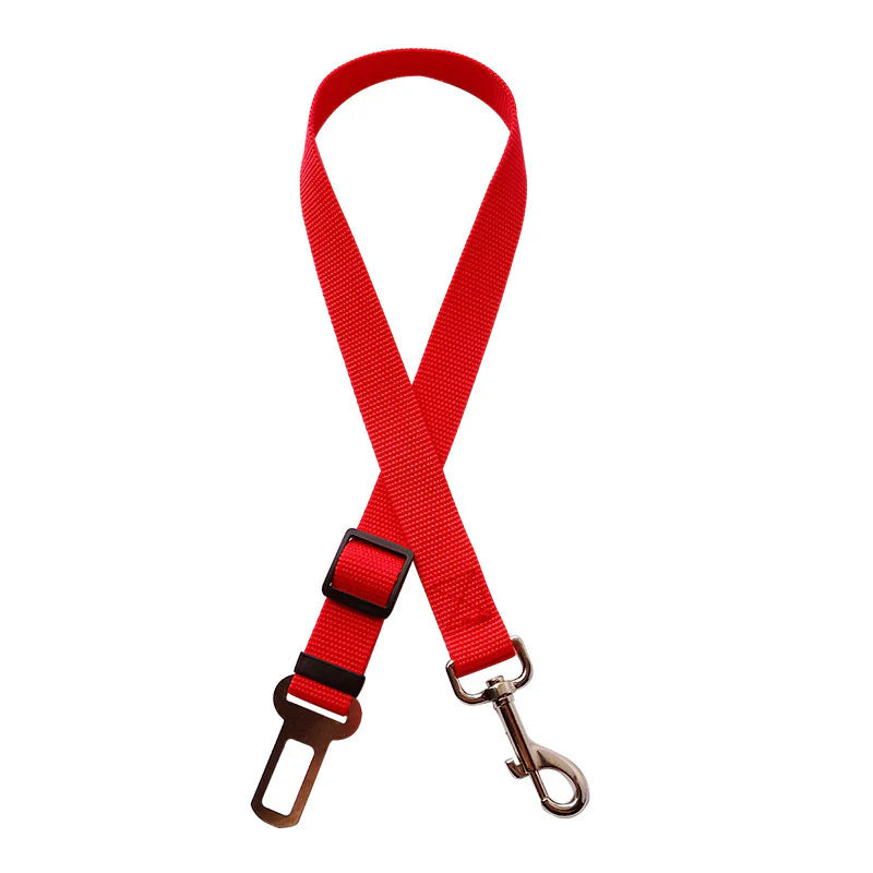 Car Safety Tether for Dog & Cat